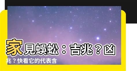 看到蜈蚣|【看到蜈蚣代表什麼】家見蜈蚣：吉兆？凶兆？快看它。